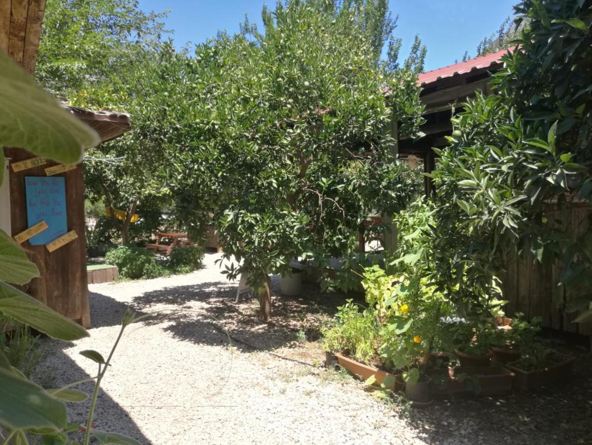 Yakamoz * Olympos