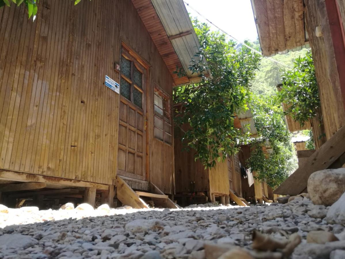 Yakamoz Olympos